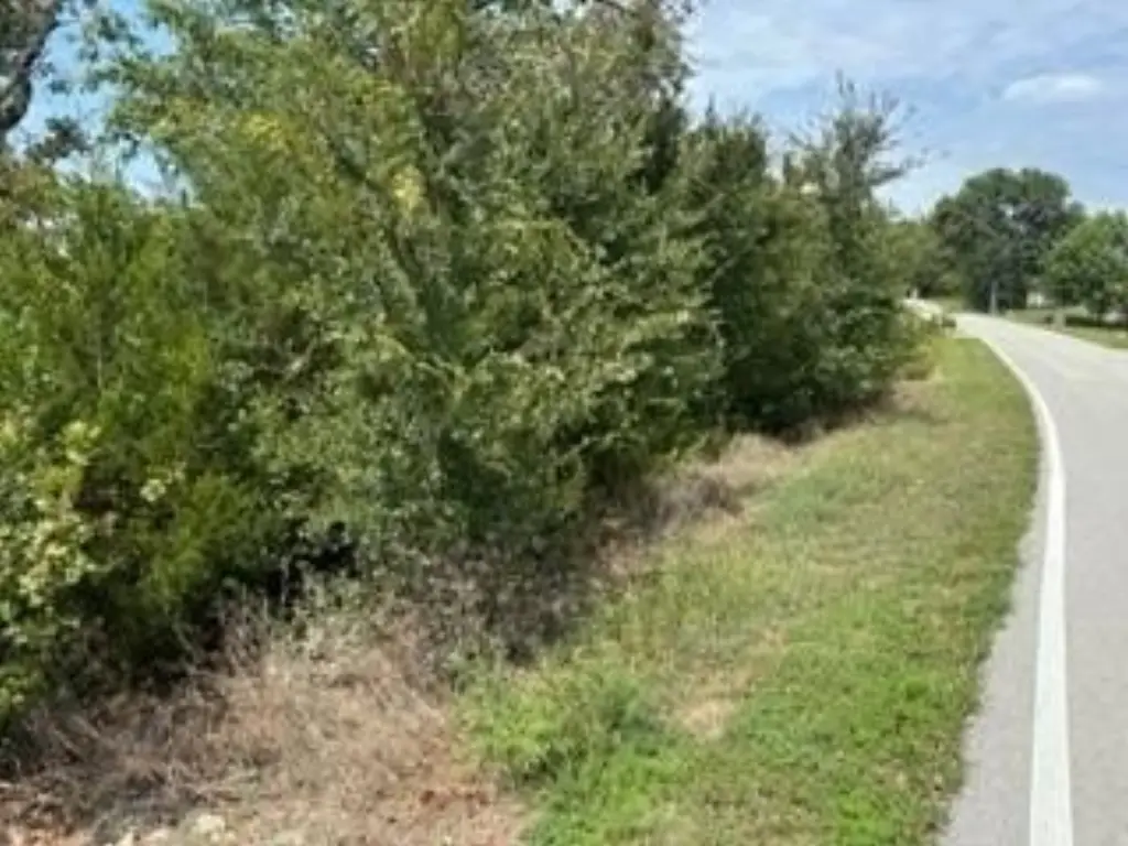 Picture 3