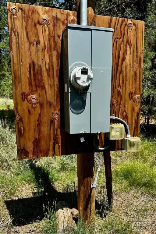 Picture 8