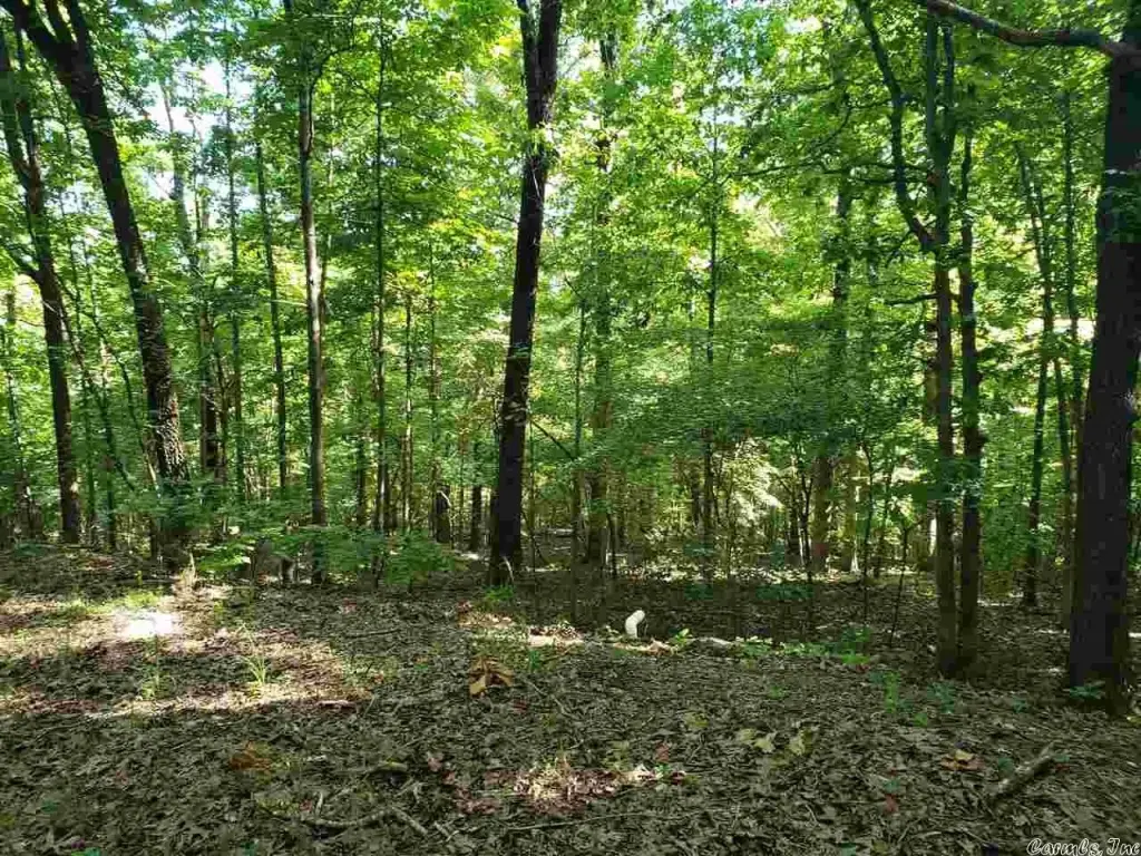 Picture 8