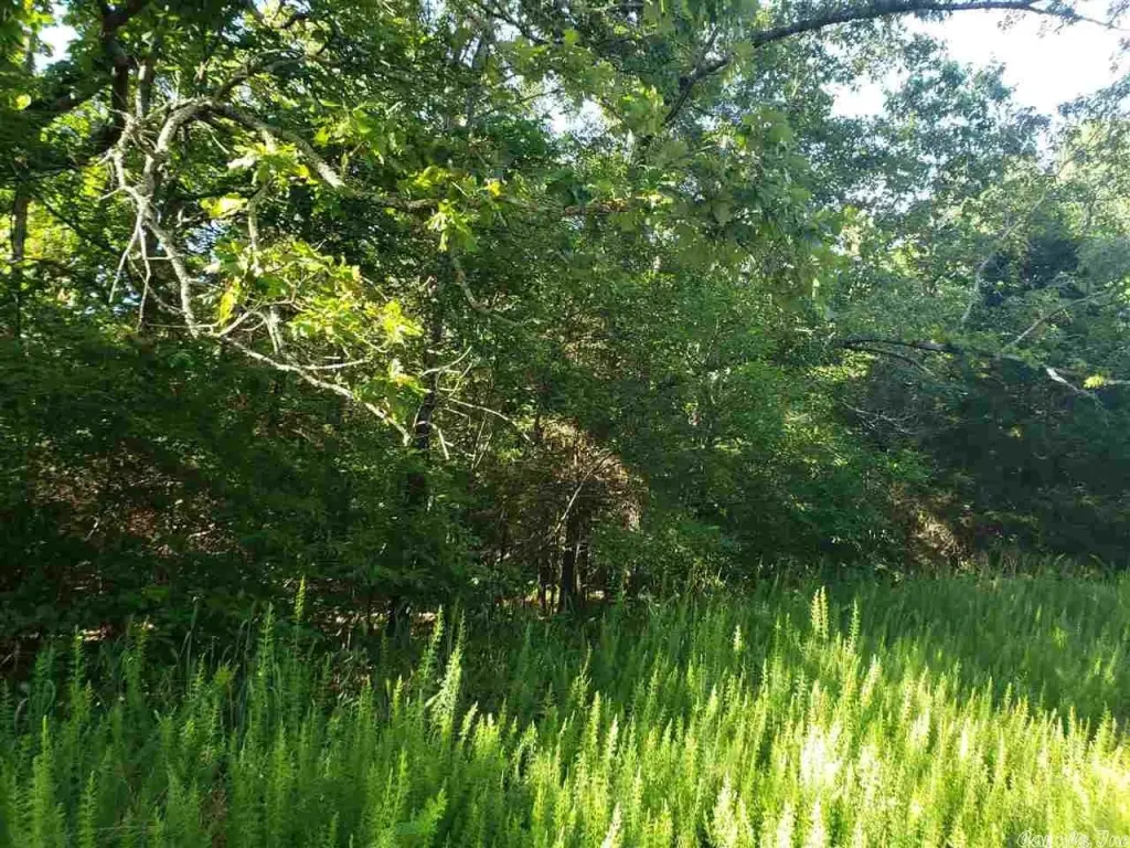 Picture 4