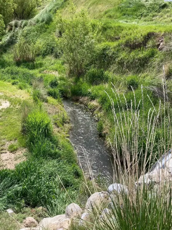 Picture 10