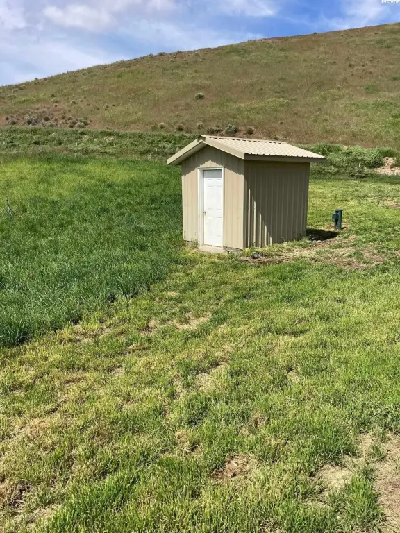 Picture 5