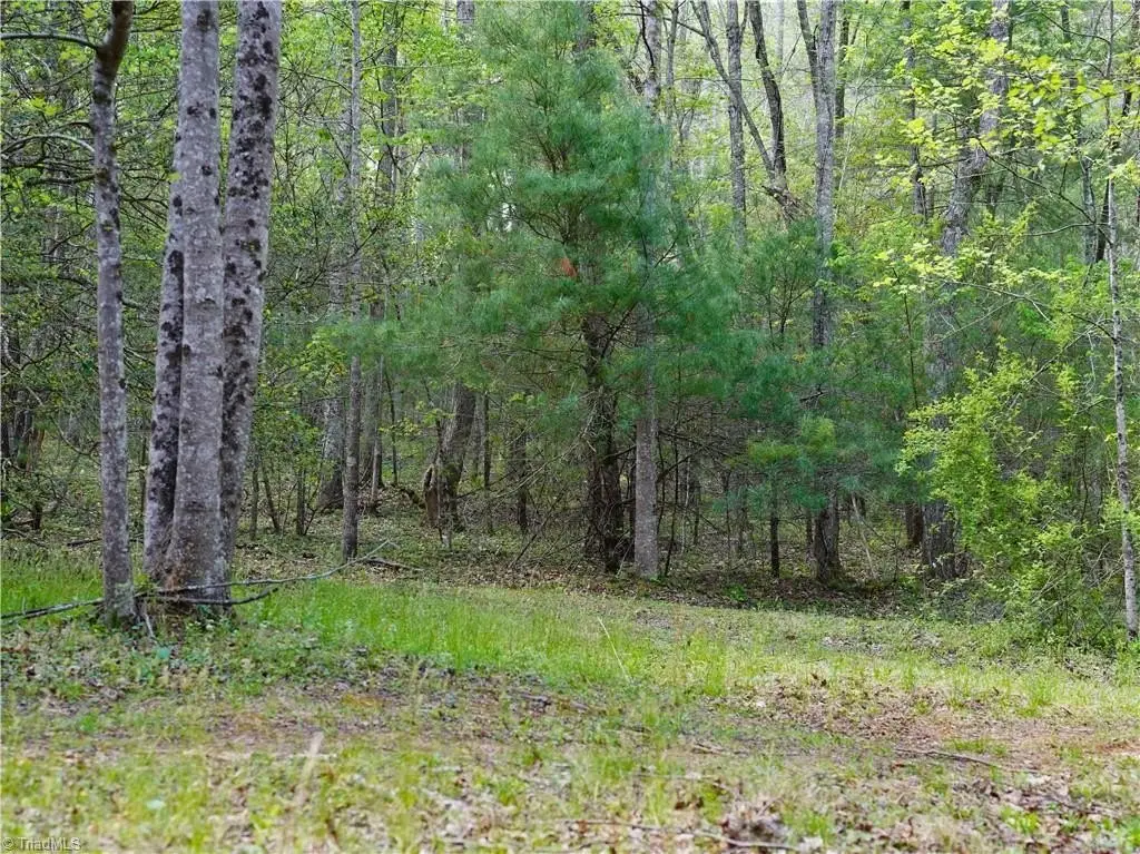 Picture 26