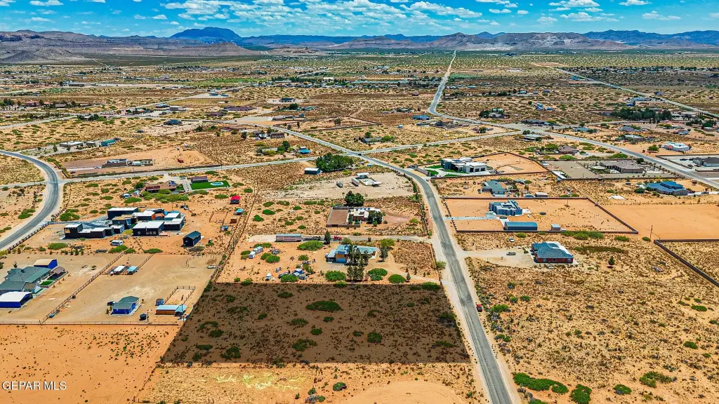Picture 5