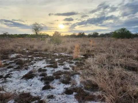 9+ Acres for Dream Home