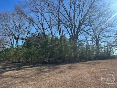 Bishop, GA Buildable Lot