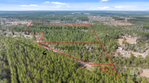 Heavily Wooded Land Parcel