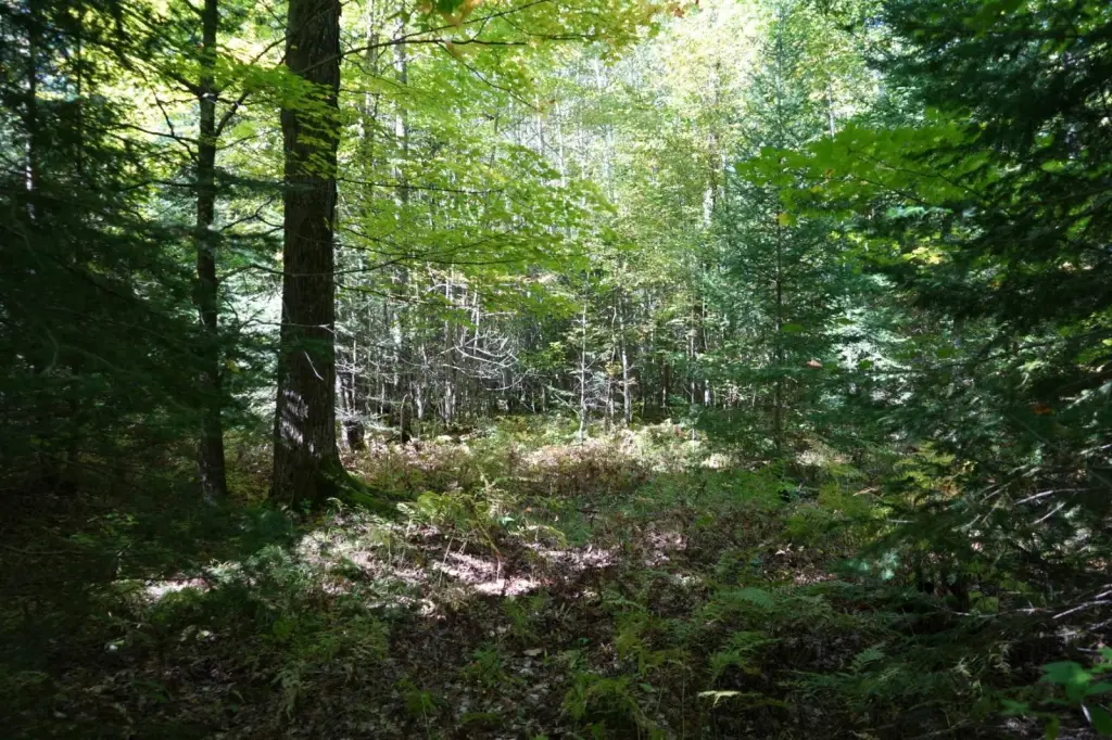 Picture 25