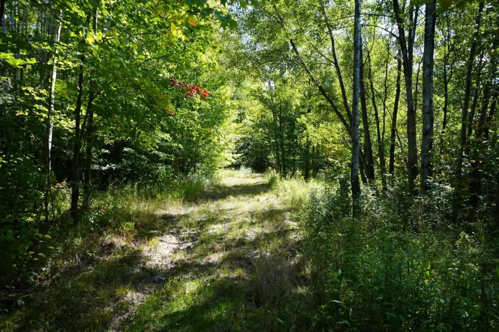Picture 19