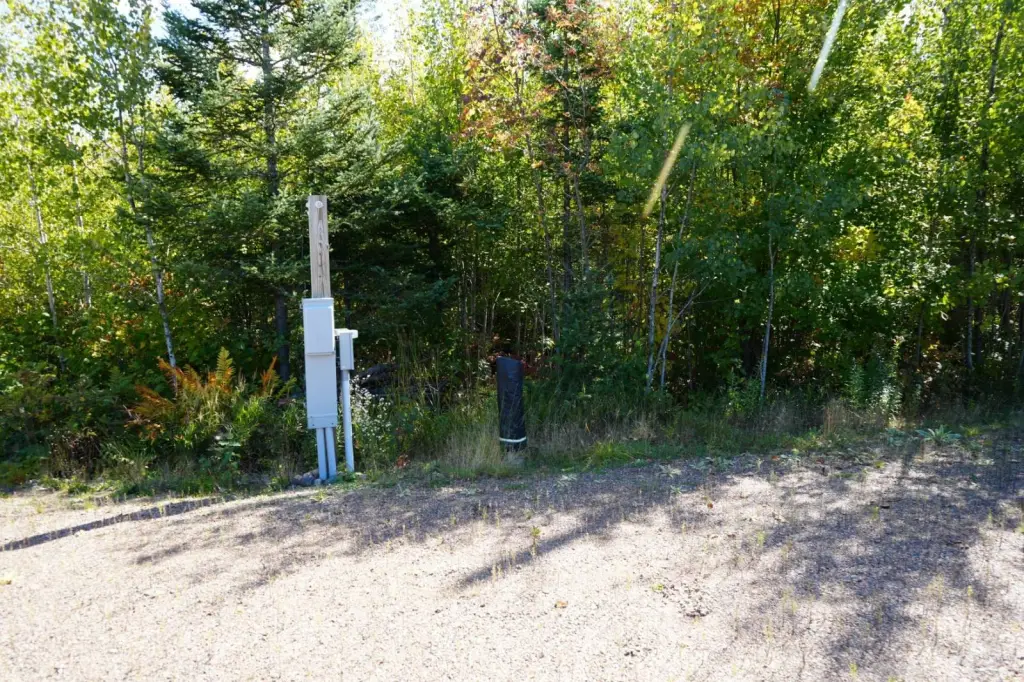 Picture 11