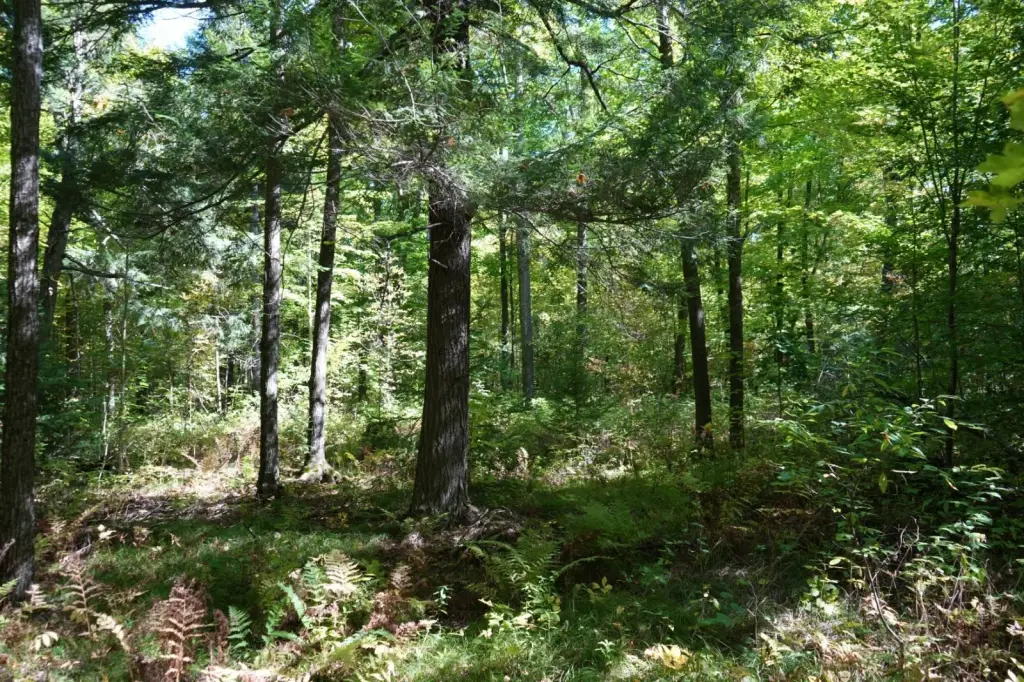 Picture 22