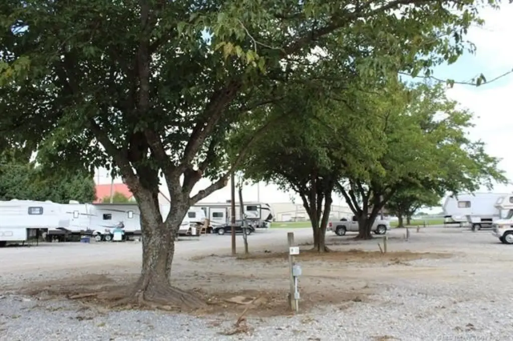 Picture 28