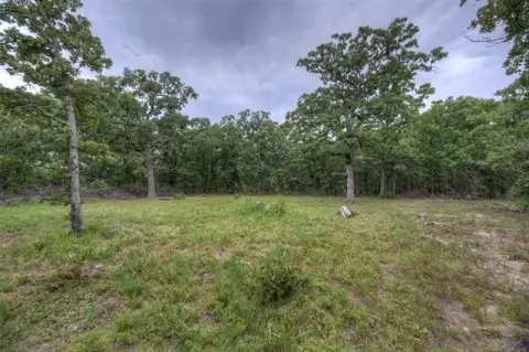 Wooded Agricultural Land