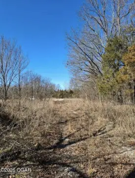 Secluded Land Near Seligman, MO