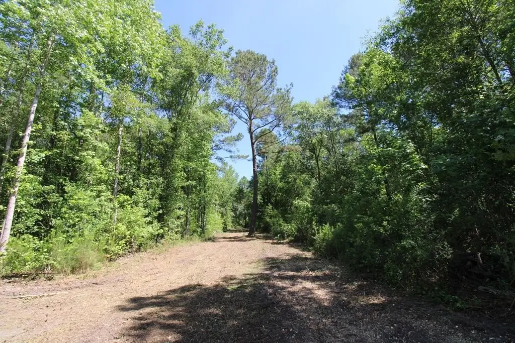 Picture 15