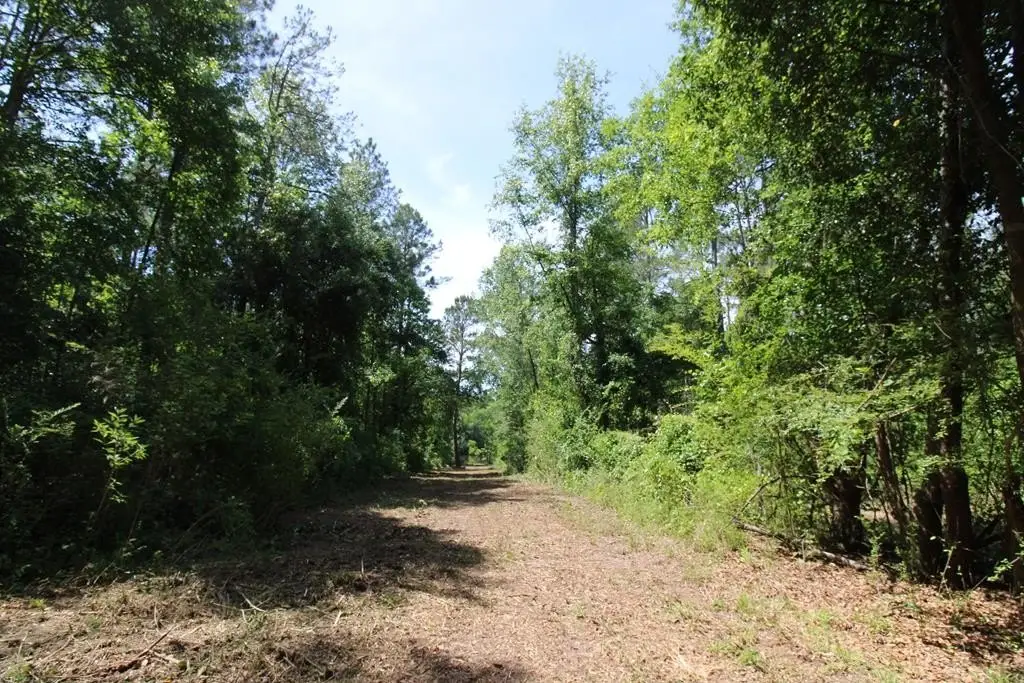 Picture 25