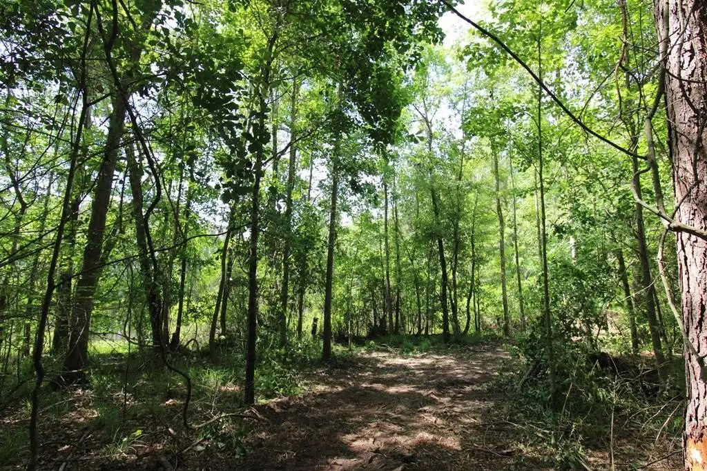Picture 23