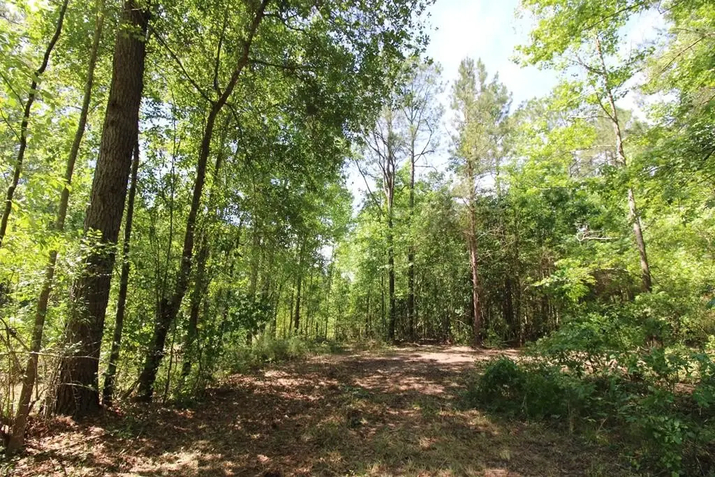 Picture 21