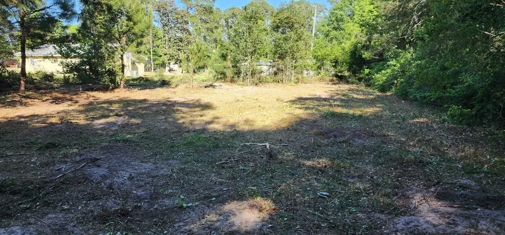 Picture 3