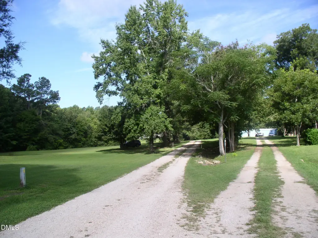 Picture 19