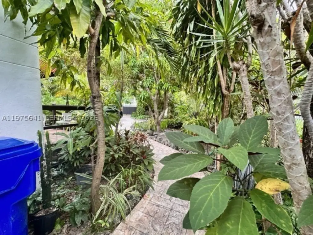 Picture 17