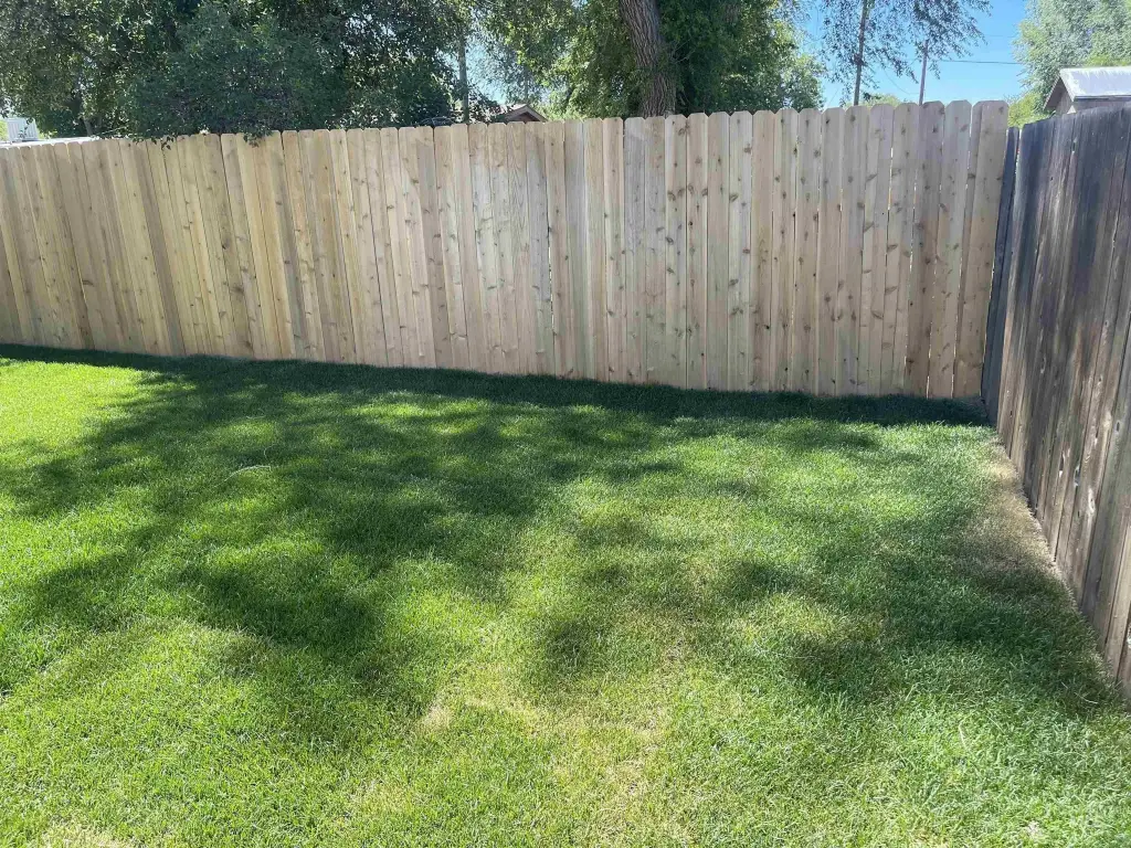 Picture 19