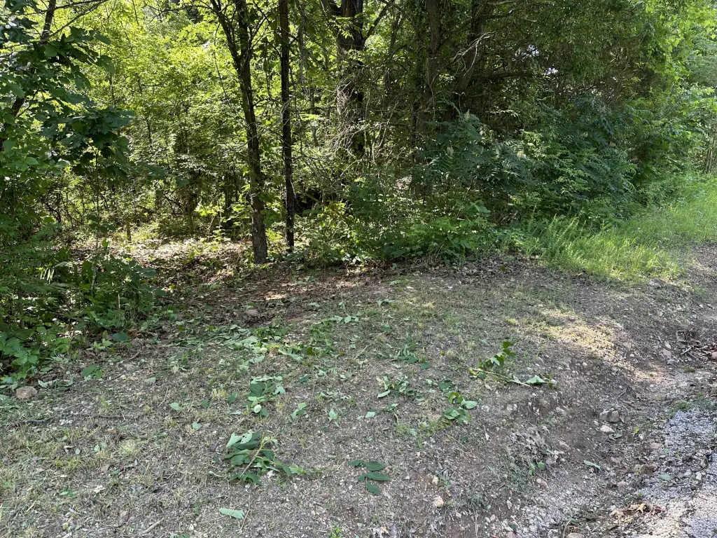 Picture 3