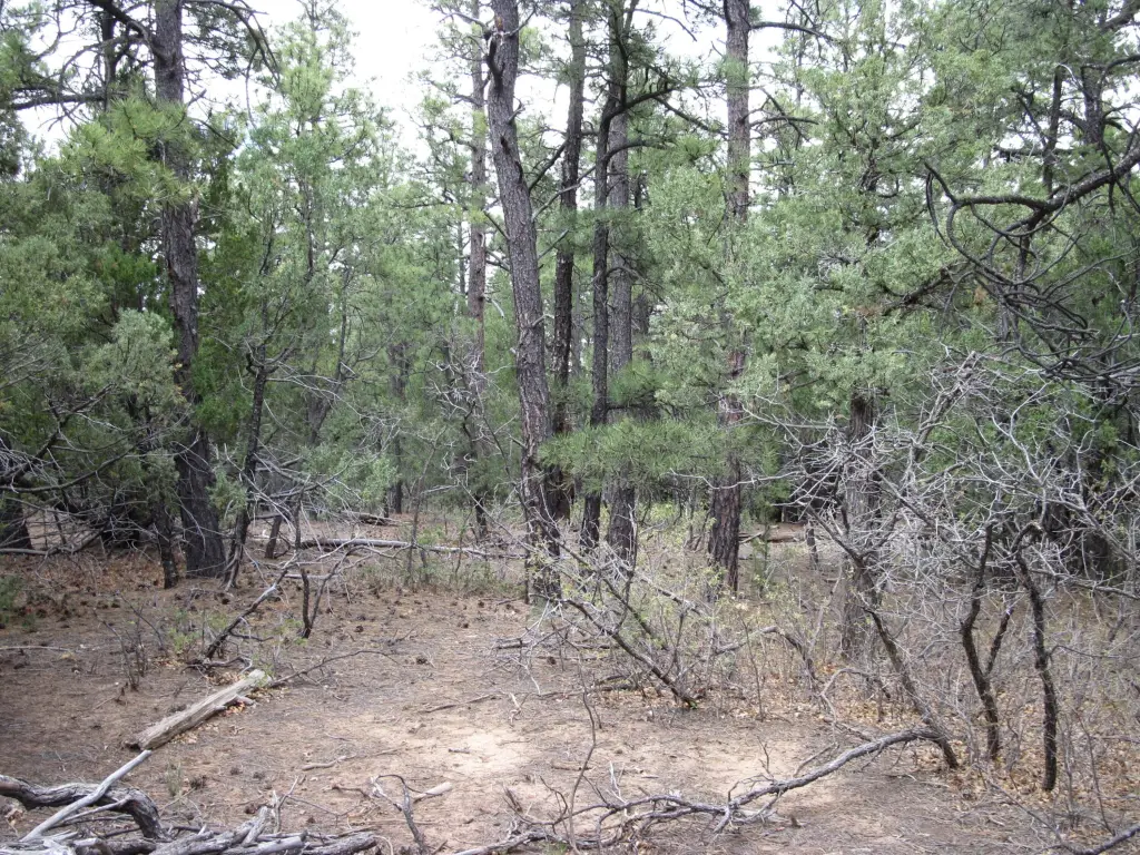Picture 11