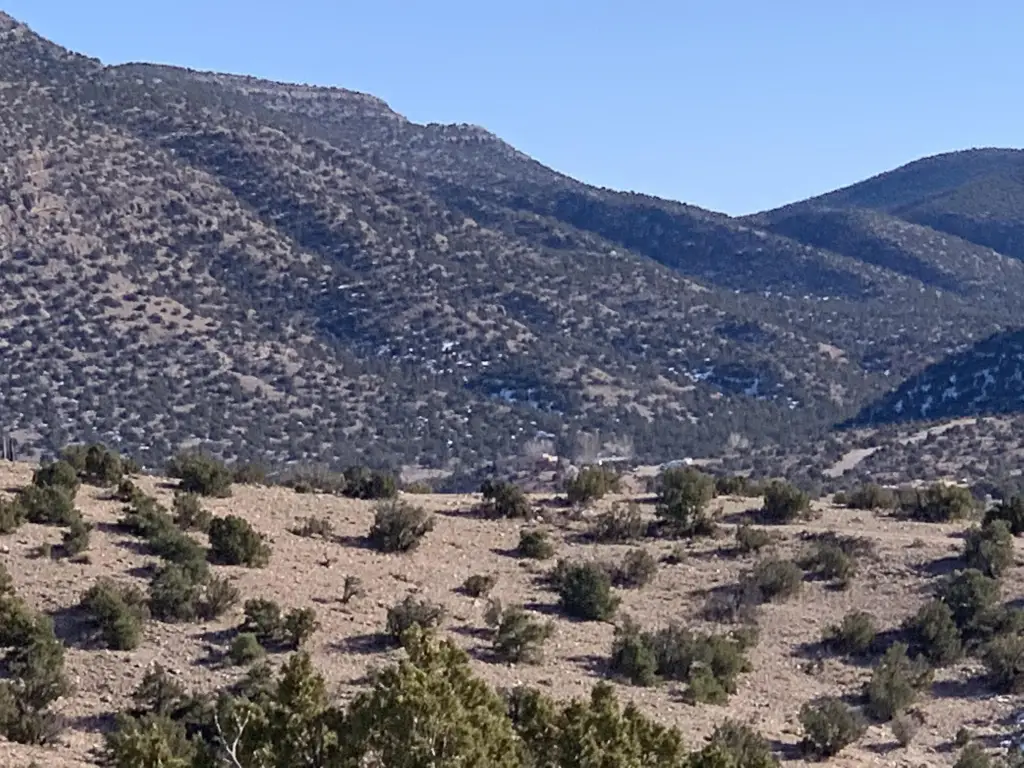 Picture 27