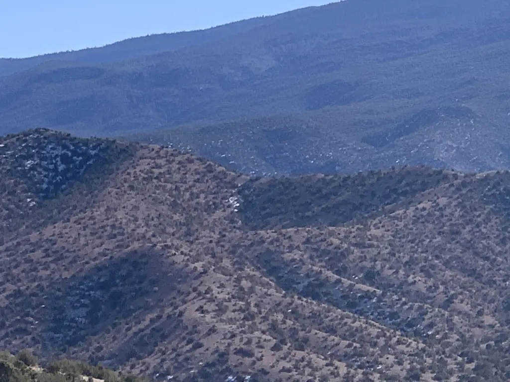 Picture 25