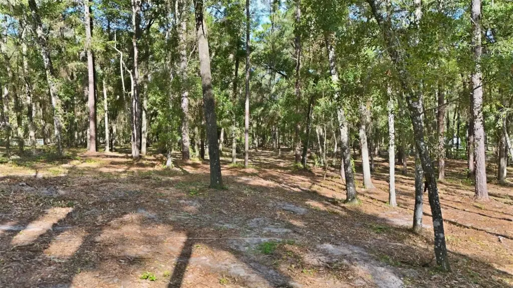 Picture 9