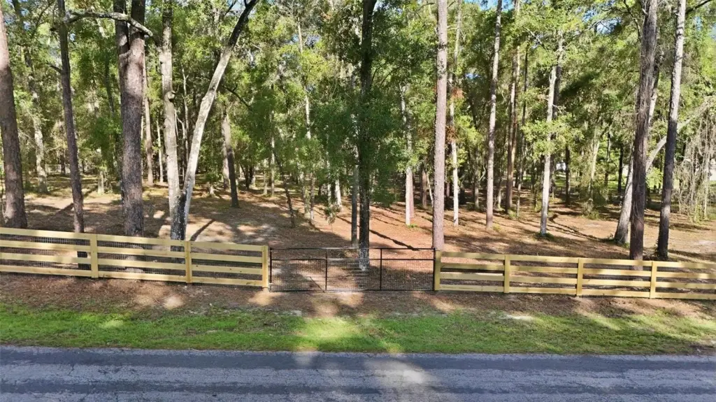 Picture 3