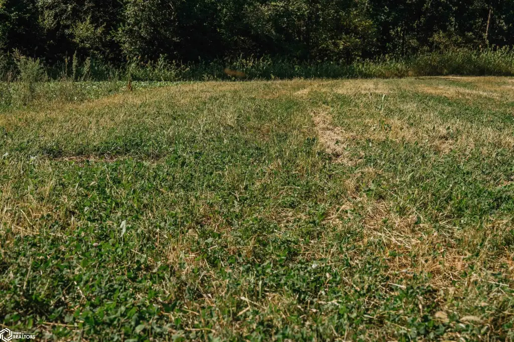 Picture 51