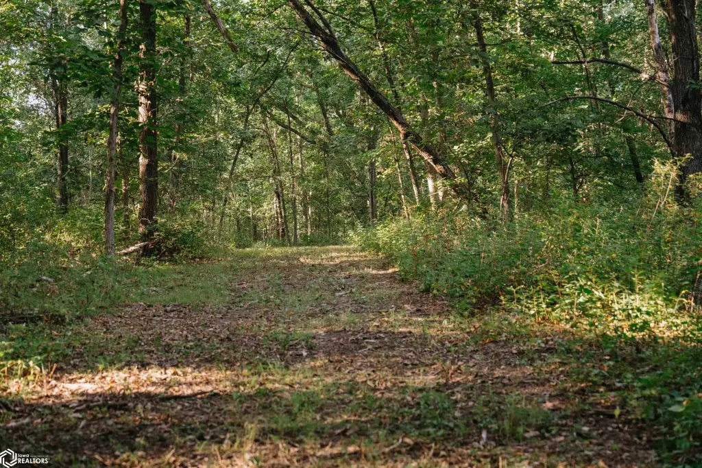 Picture 53