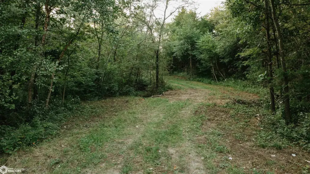 Picture 39
