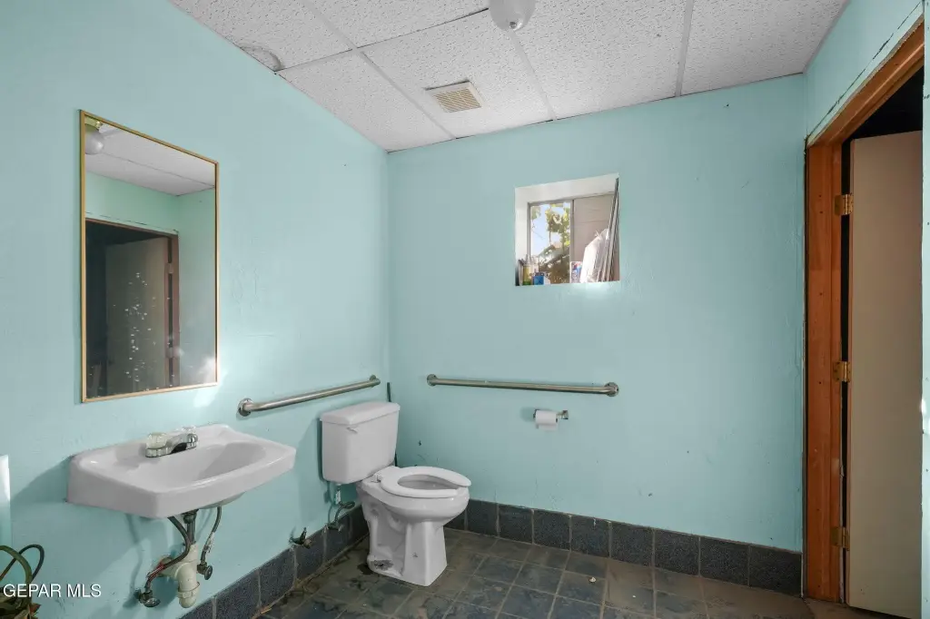 Picture 15