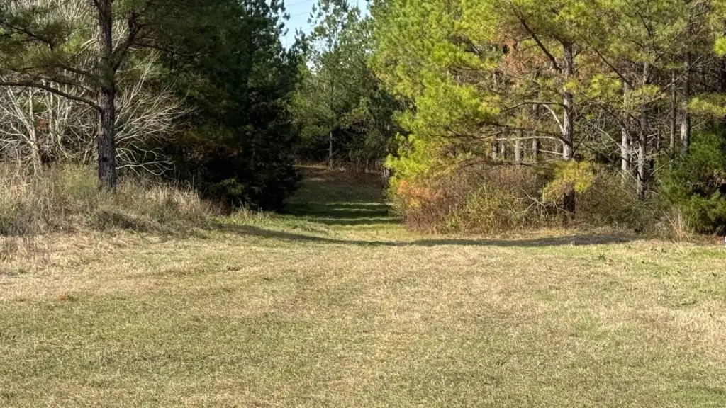 Picture 2