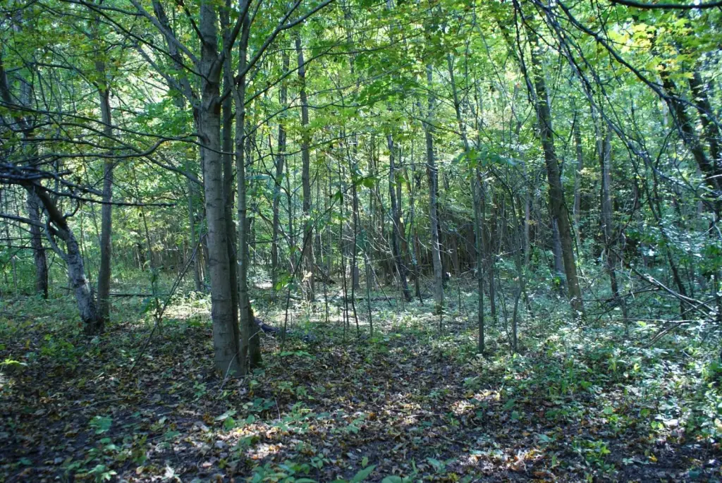 Picture 22