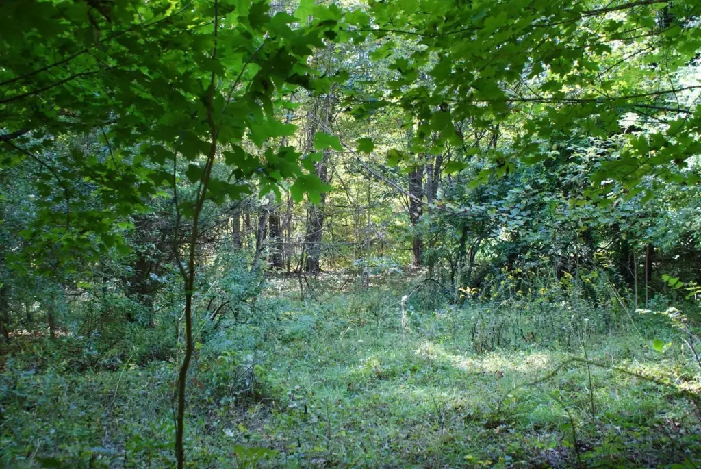 Picture 20