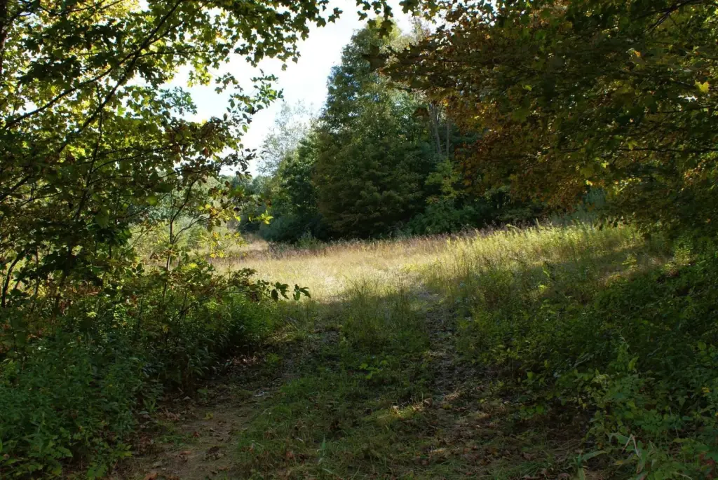 Picture 9