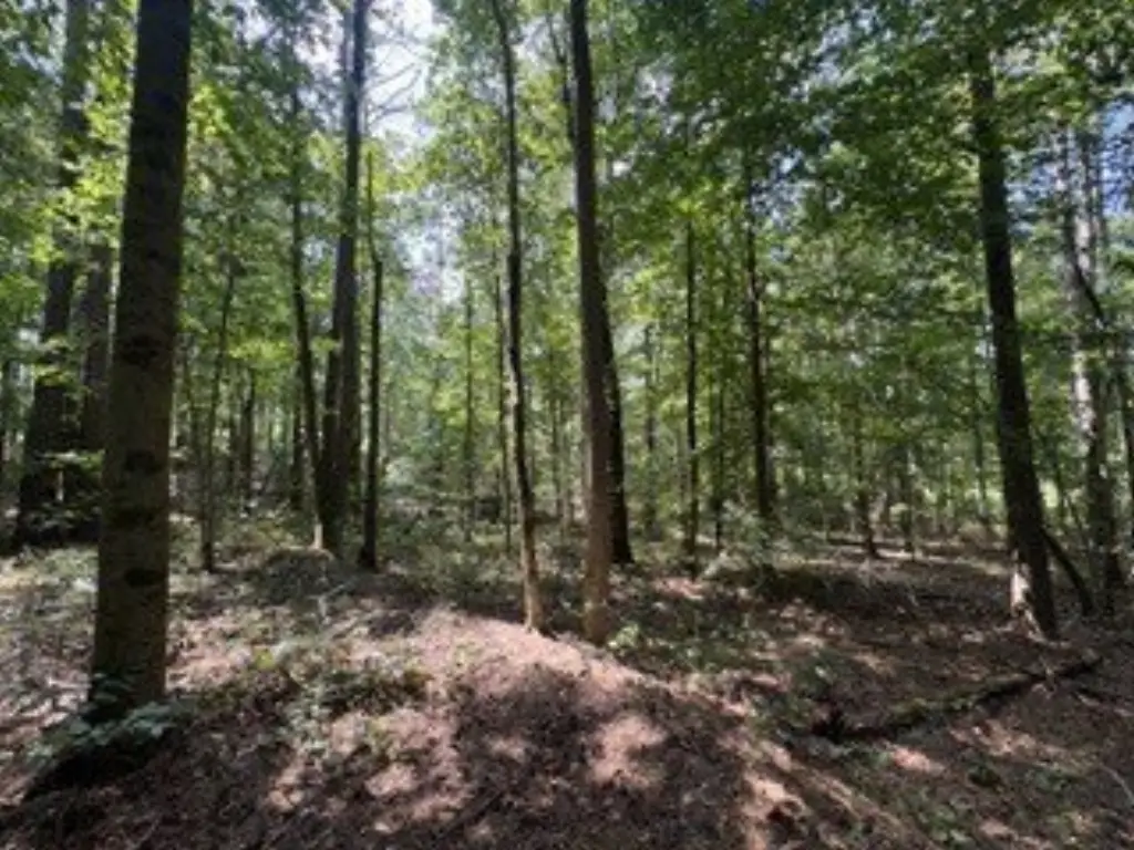 Picture 15