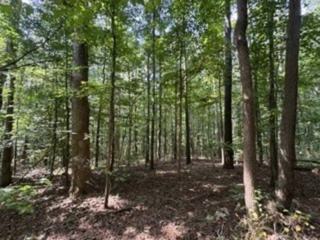 Picture 17