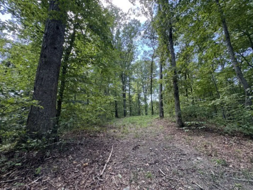 Picture 22