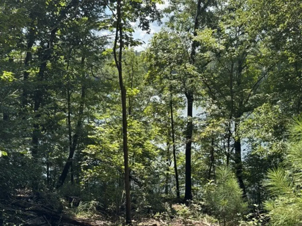 Picture 32