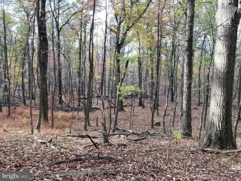 Wooded Land in Augusta, WV