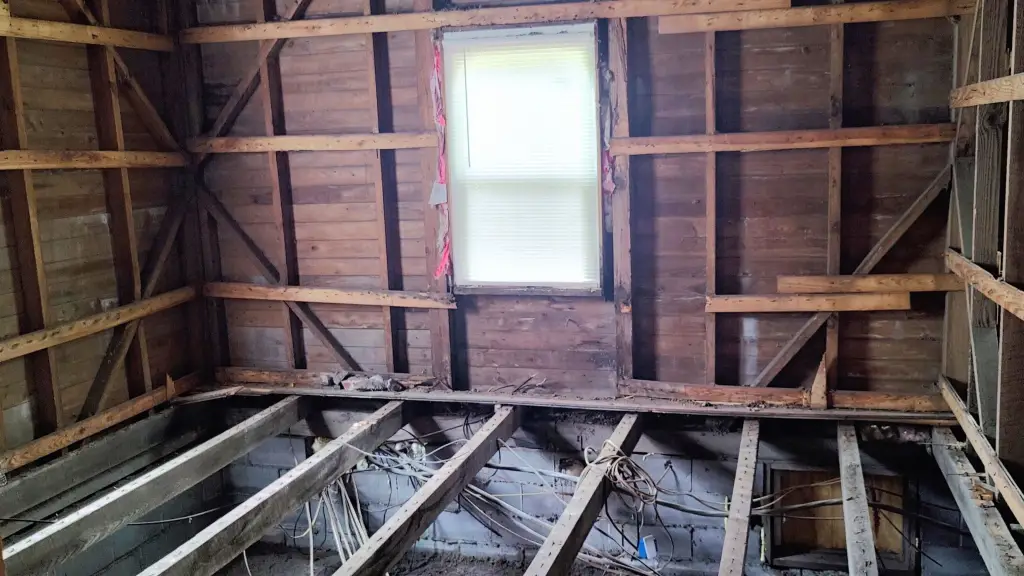 Picture 6