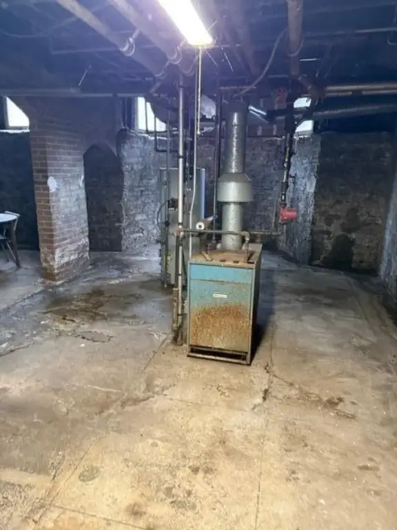 Picture 19