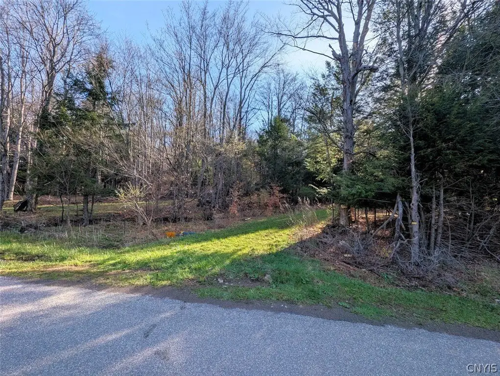 Picture 9