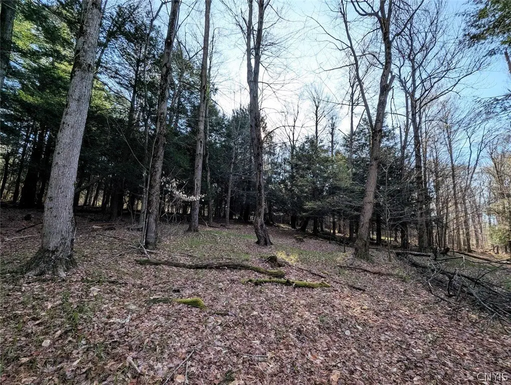 Picture 14