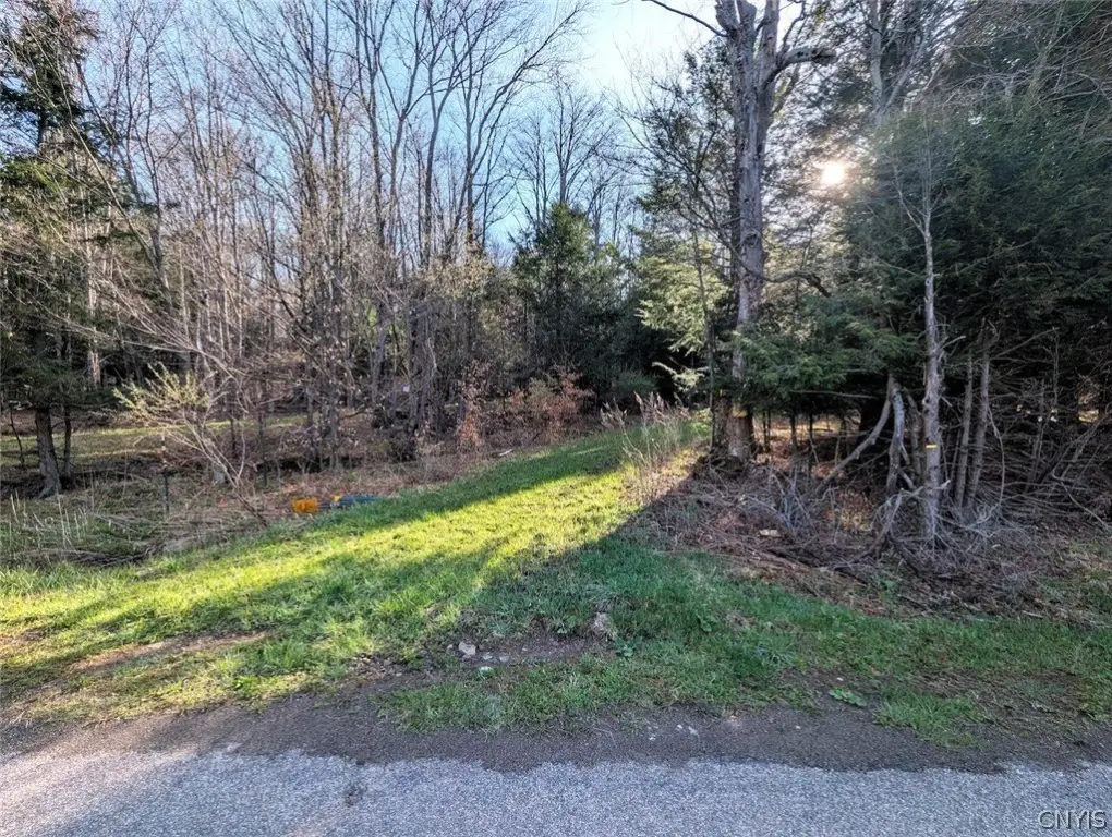 Picture 10